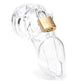 CB-X CB-6000 3.25" Male Chastity Cock Cage Clear